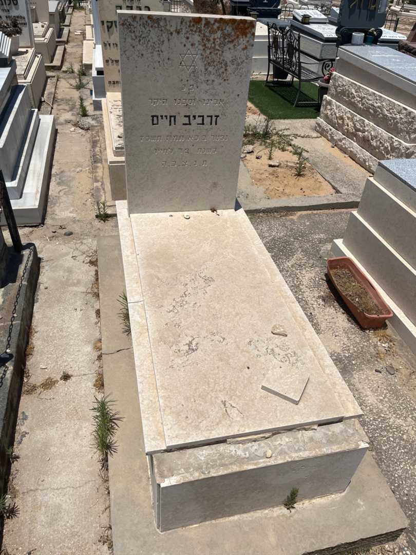 קברו של זרביב חיים