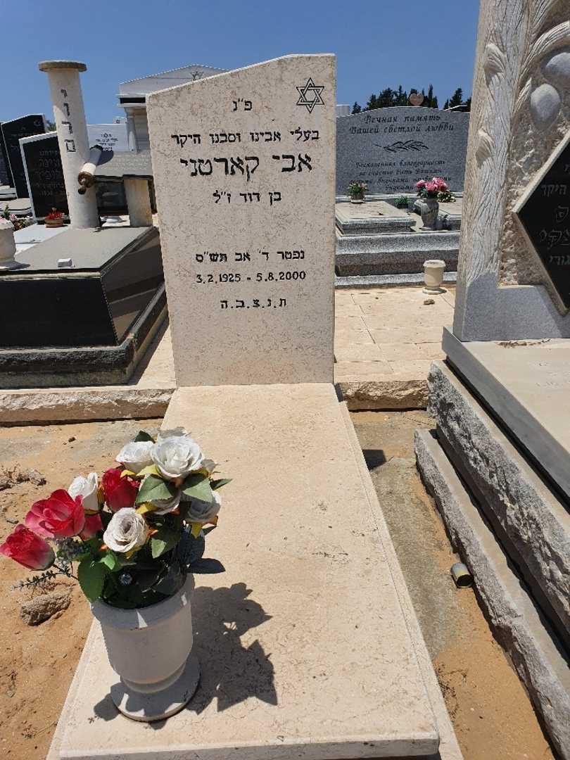 קברו של אבי קארטני