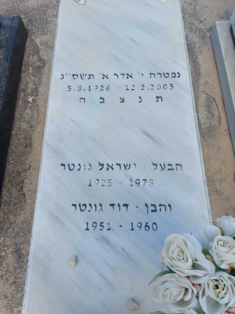 קברו של ליבה גונטר. תמונה 2