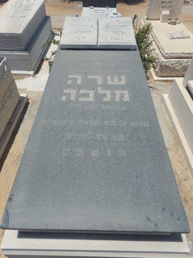 קברו של שרה מלכה