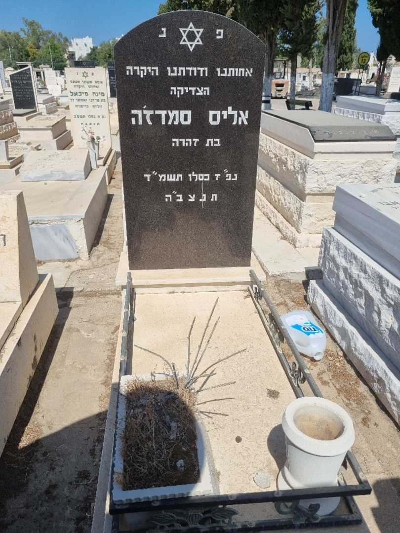 קברו של אליס סמדגה