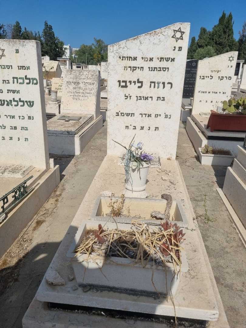 קברו של רוזה לייבו