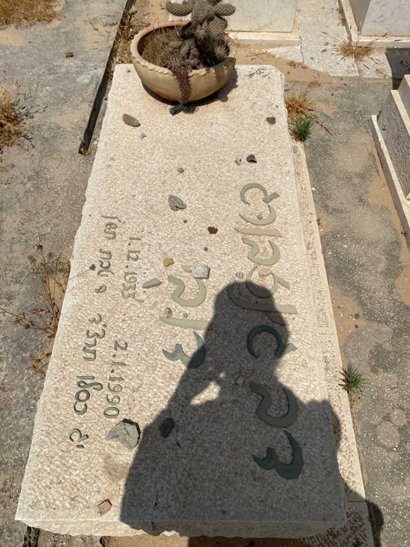 קברו של דב "דובי" גינזבורג. תמונה 1