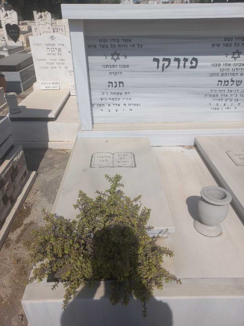 קברו של סלומה פזרקר. תמונה 2