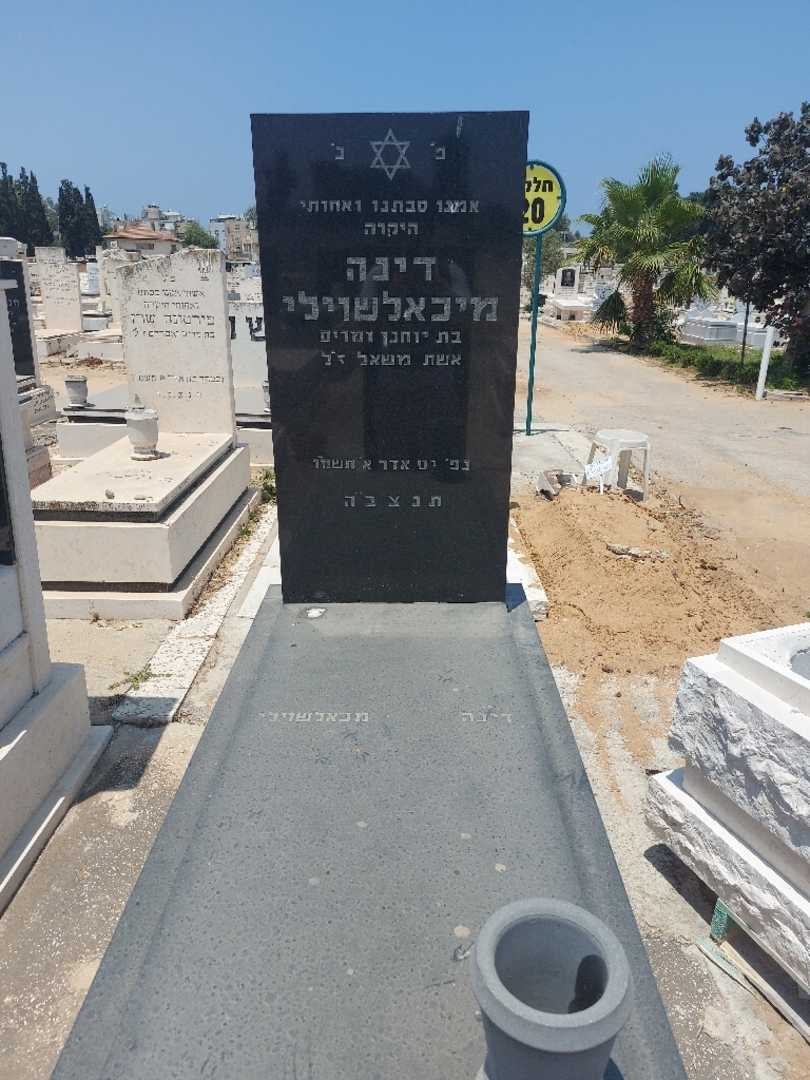 קברו של דינה מיכאלשוילי