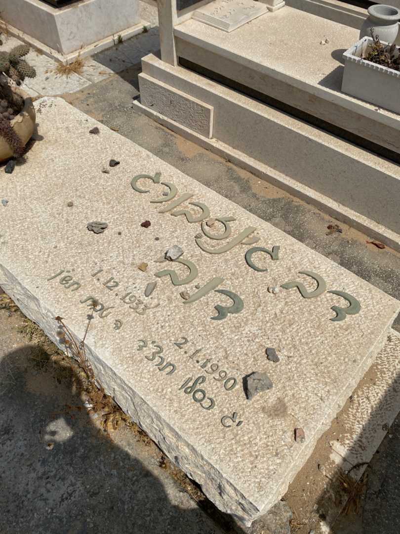 קברו של דב "דובי" גינזבורג. תמונה 2