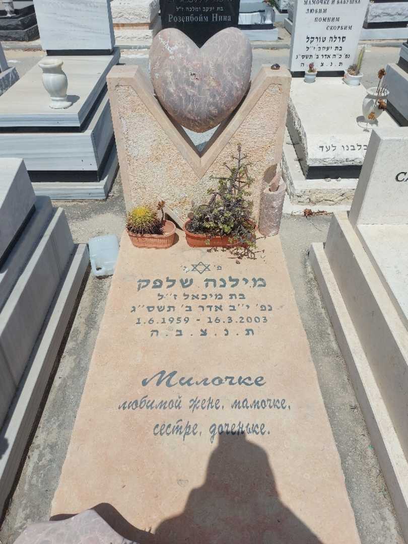 קברו של מילנה שלפק