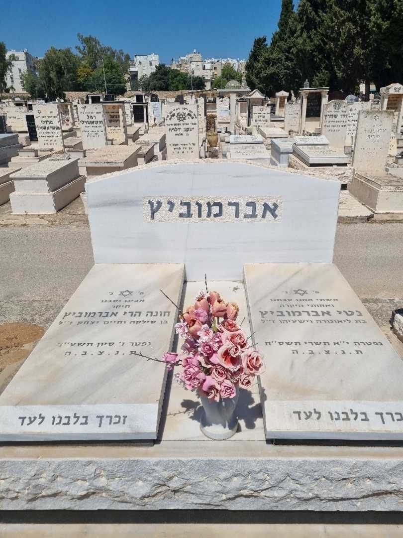 קברו של חונה הרי אברמוביץ. תמונה 1