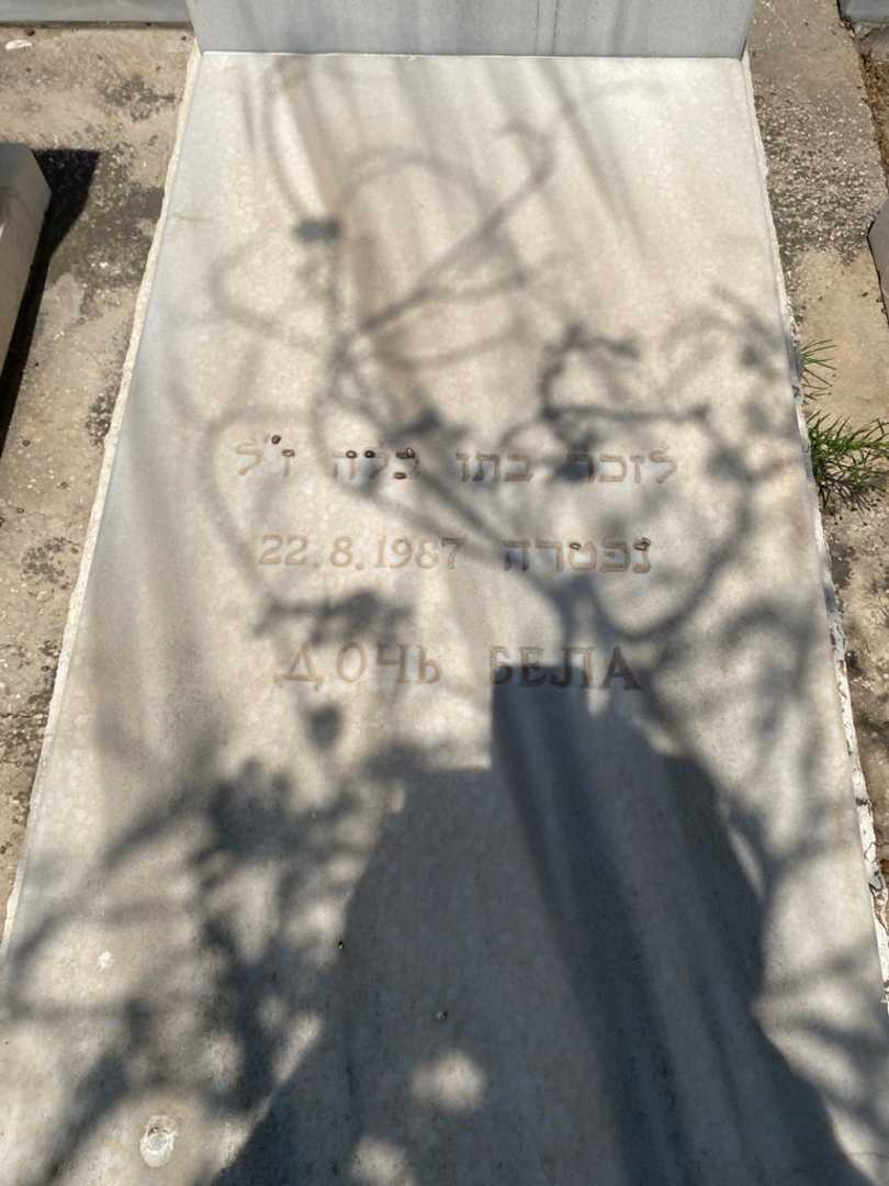 קברו של בלה ליטבינוב. תמונה 2