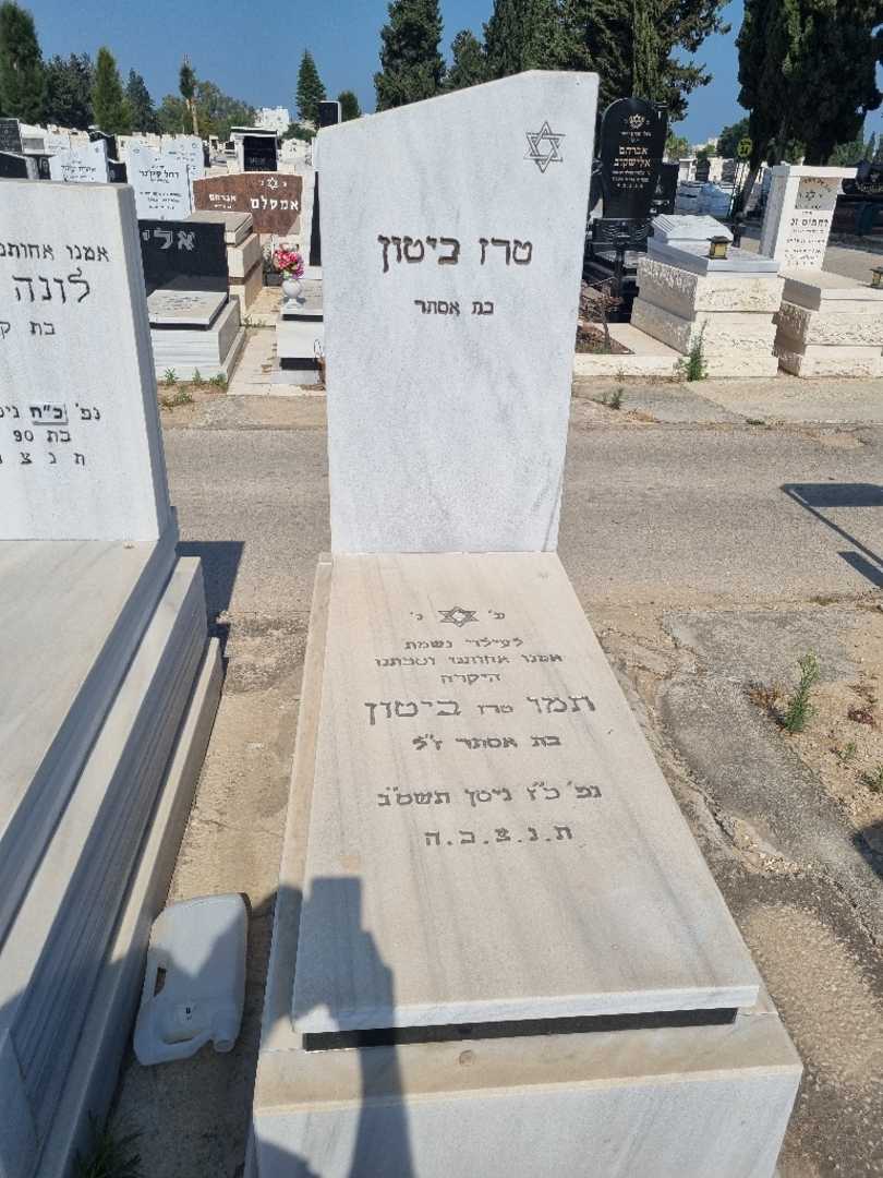 קברו של טרז "טרז" ביטון