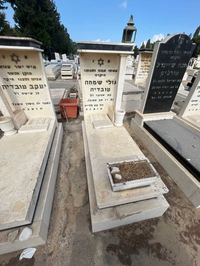 קברו של ג'ולי שמחה. תמונה 3