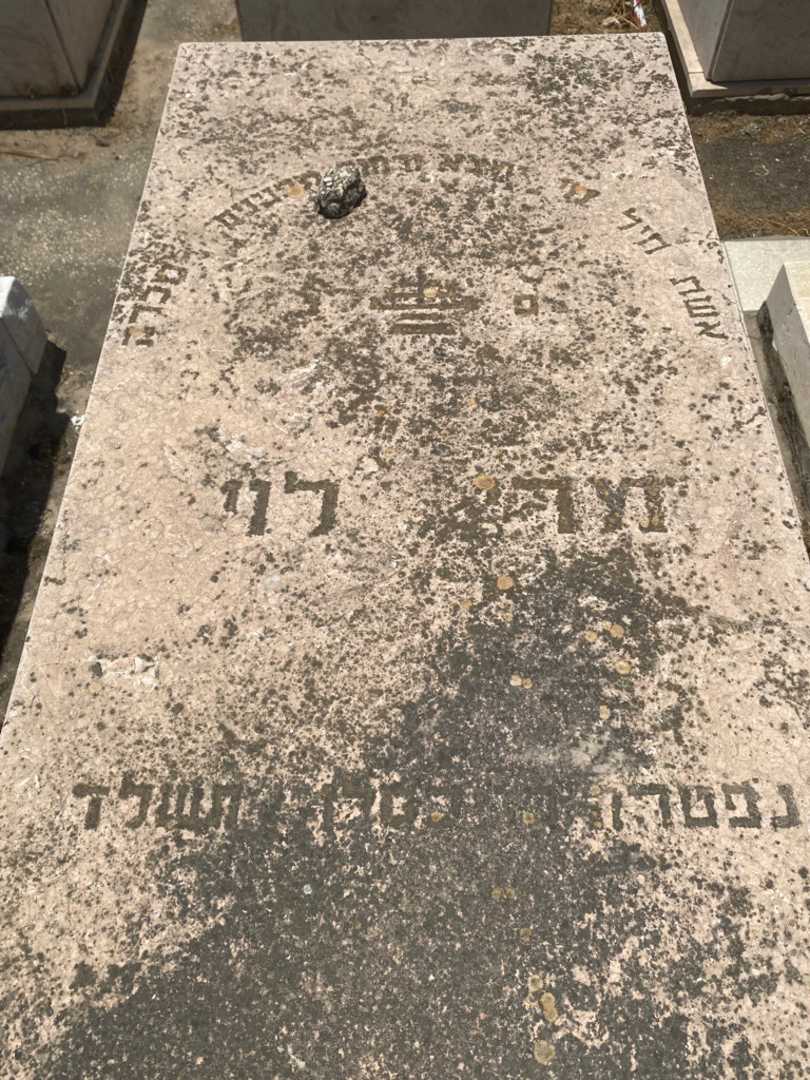 קברו של מרי לוי. תמונה 2