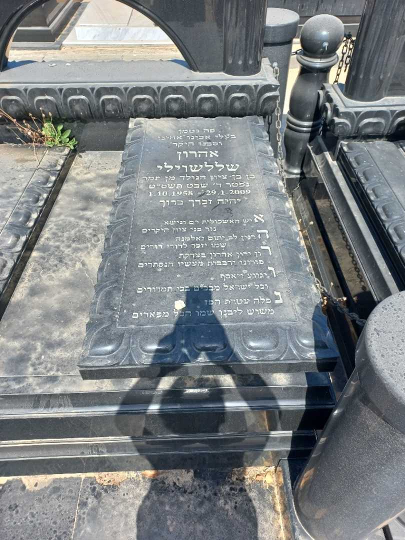 קברו של אהרון שללשוילי