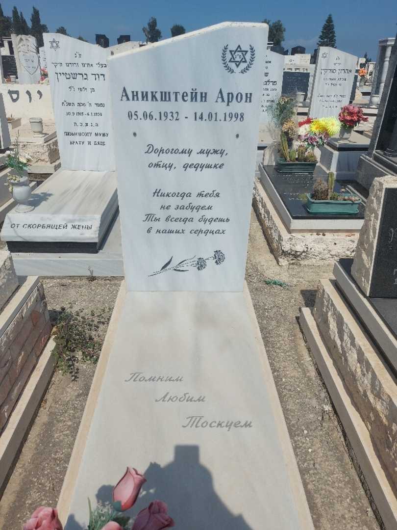 קברו של אהרון אניקשטיין
