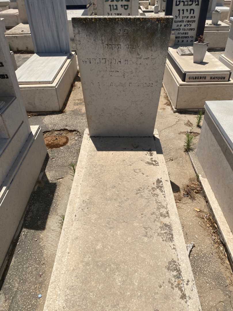 קברו של לדה זיקובס. תמונה 1