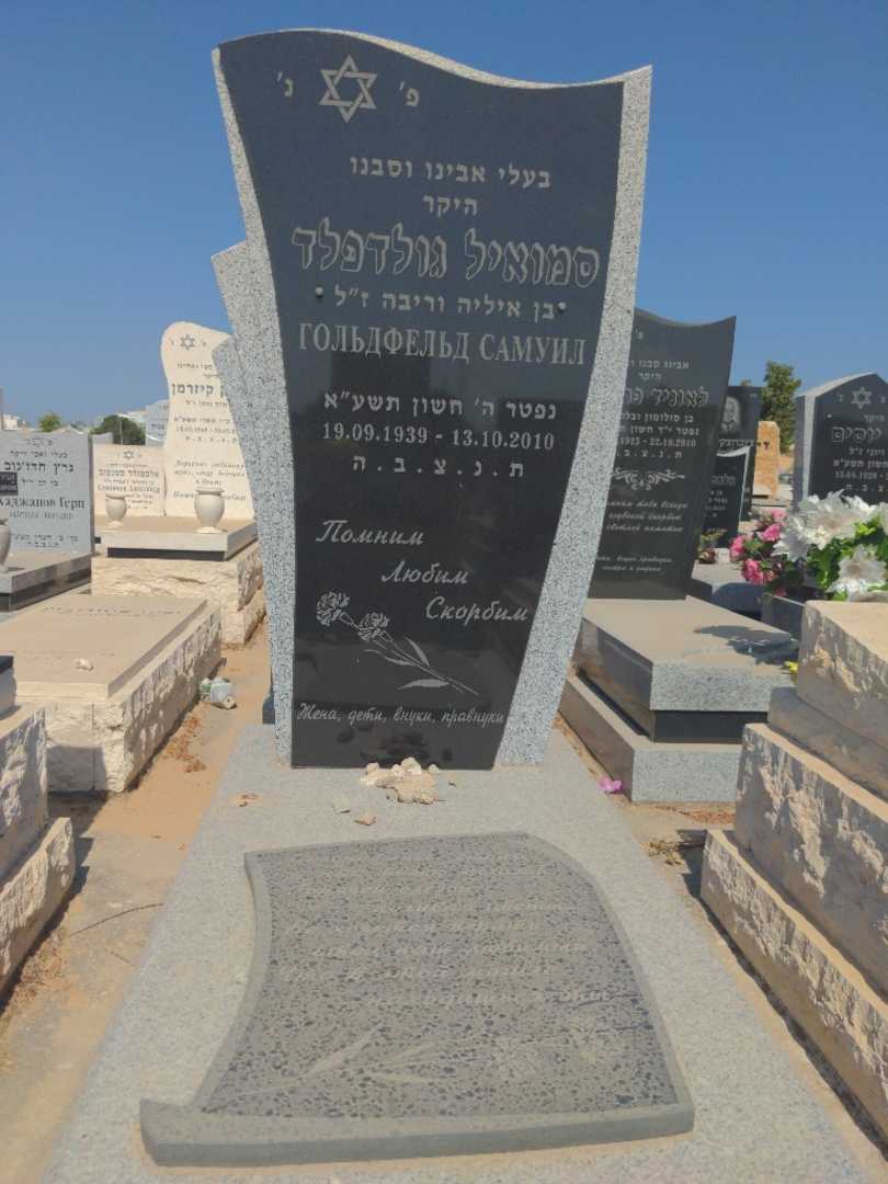 קברו של סמואיל גולדפלד. תמונה 1