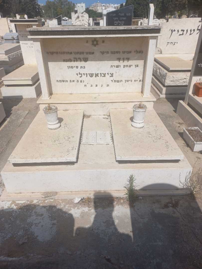 קברו של דוד ציצאואשווילי. תמונה 1