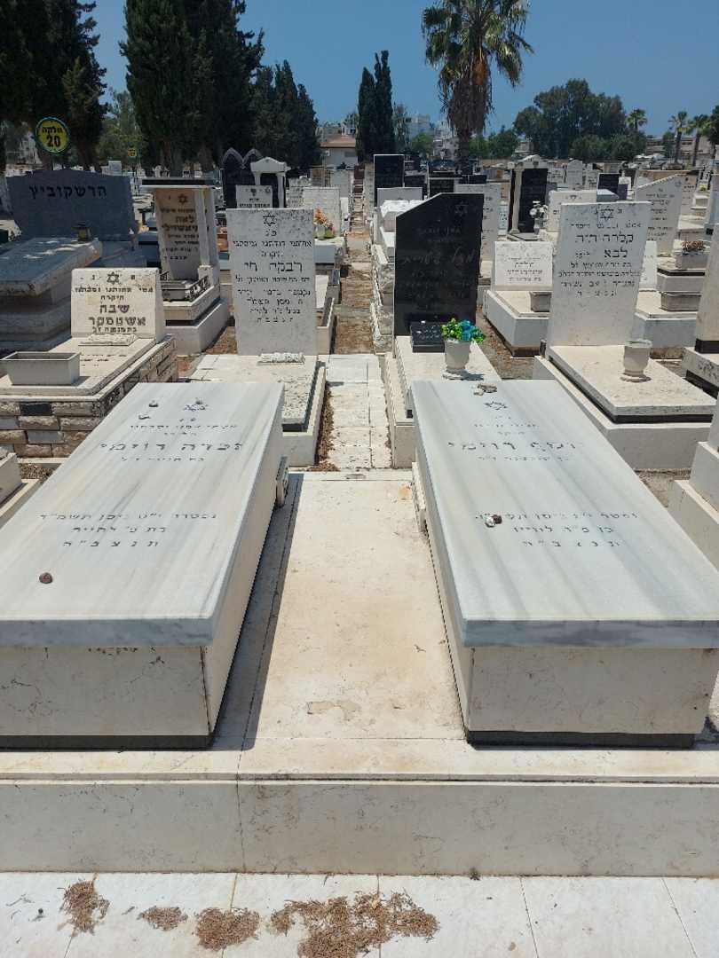 קברו של סעדה רוימי. תמונה 2