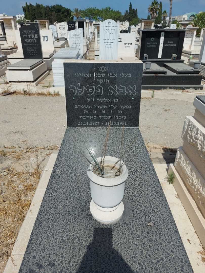 קברו של אבא פסלר