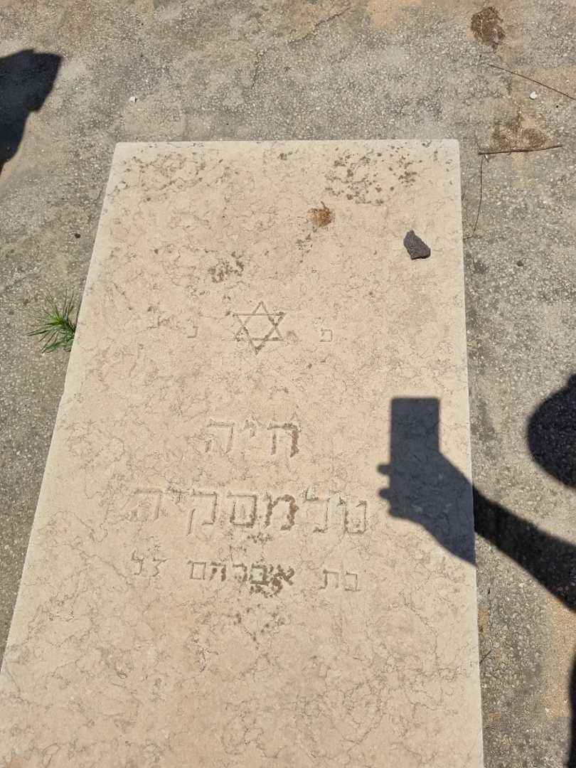 קברו של חיה טלמסיקה. תמונה 2