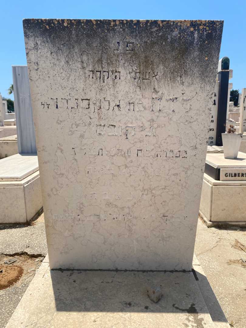 קברו של לדה זיקובס. תמונה 2