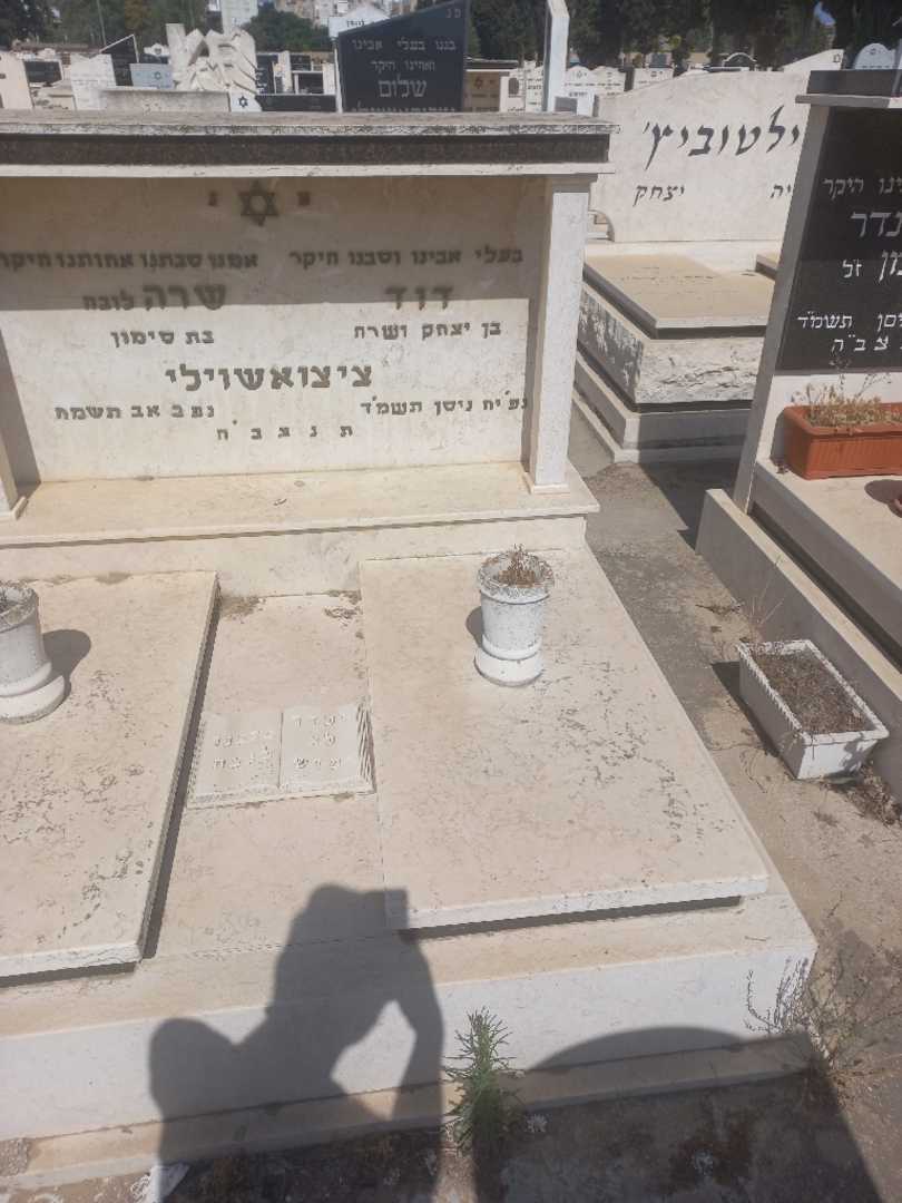קברו של דוד ציצאואשווילי. תמונה 2