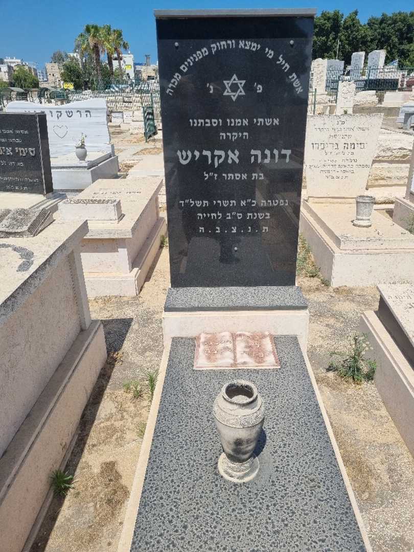 קברו של דינא אקריש