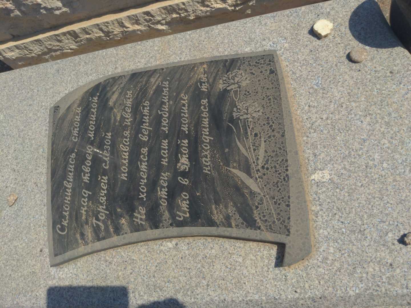 קברו של סמואיל גולדפלד. תמונה 2