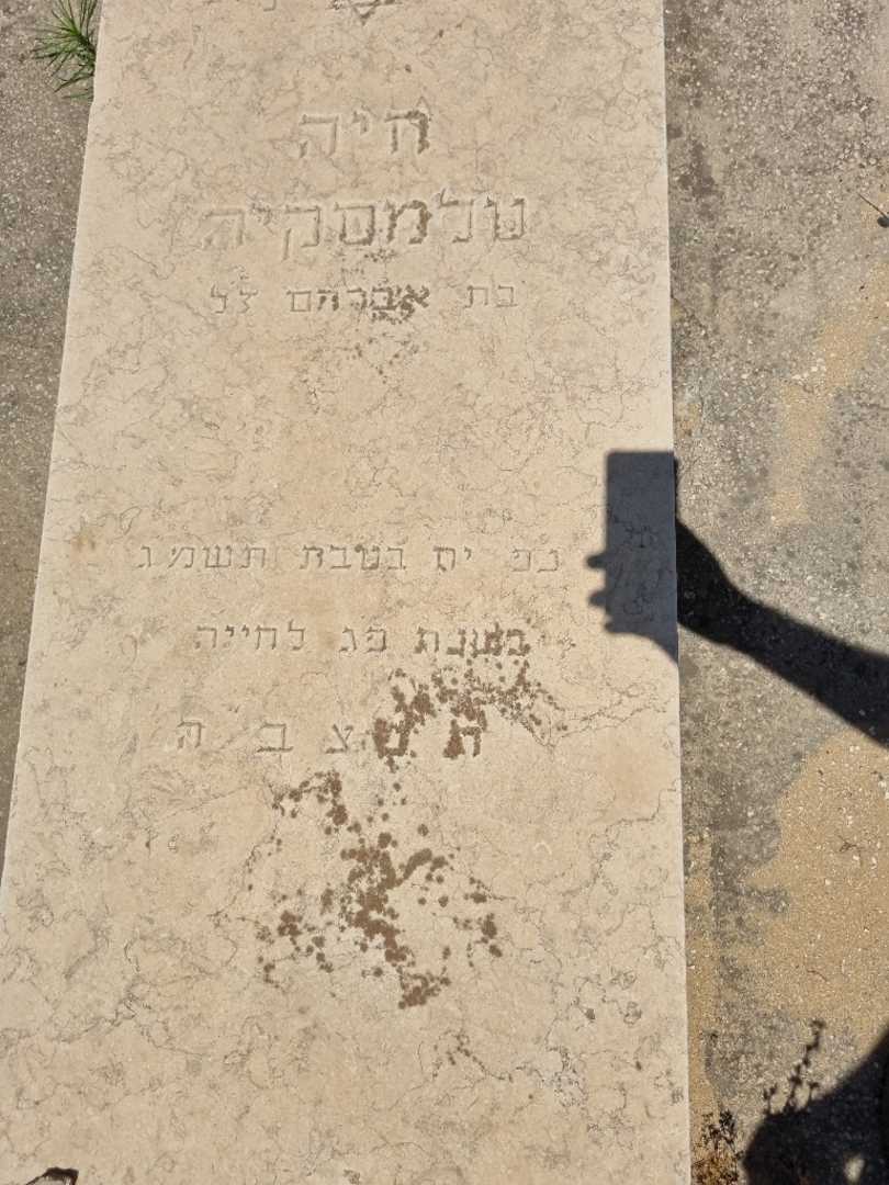 קברו של חיה טלמסיקה. תמונה 3