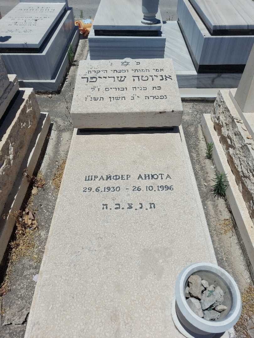 קברו של אניוטה שרייפר