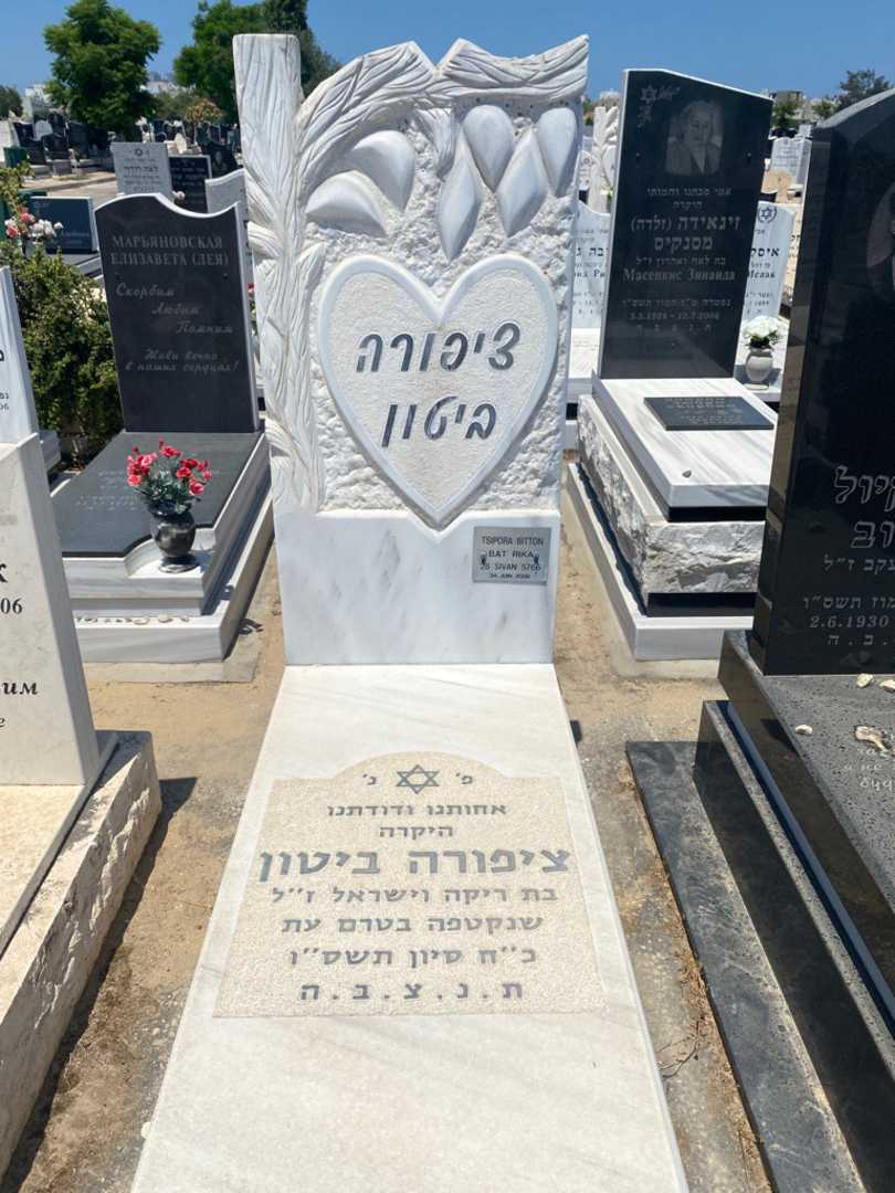 קברו של ציפורה ביטון
