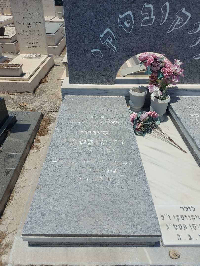 קברו של שלמה דזיקובסקי. תמונה 4