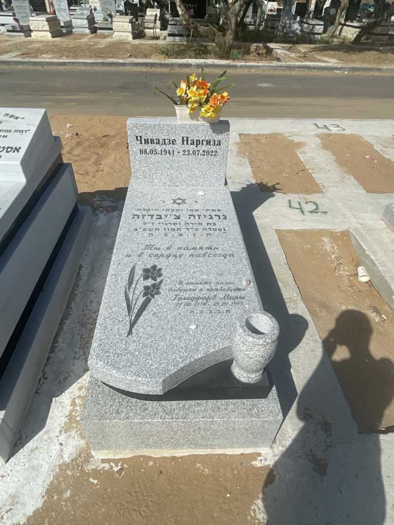קברו של נרגיזה צ'יבדזה
