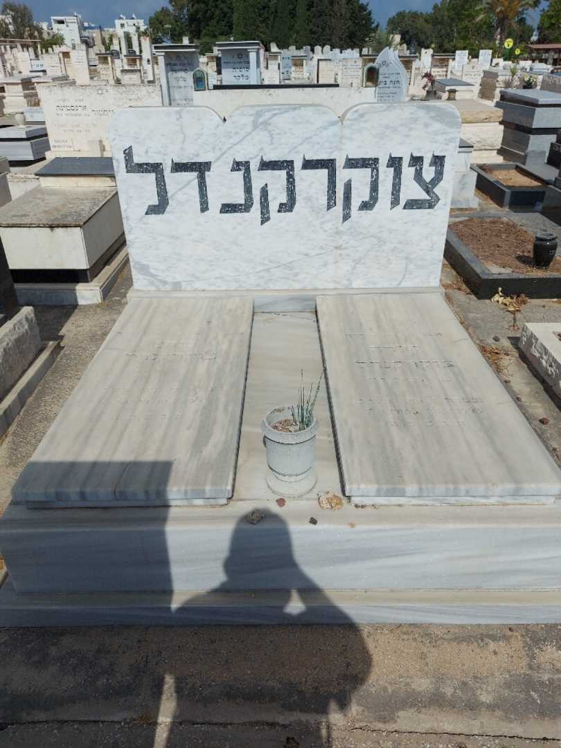 קברו של פנחס צוקרקנדל. תמונה 2