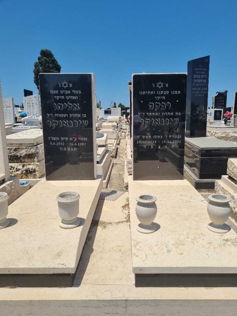 קברו של רובי שירגאוקר. תמונה 1