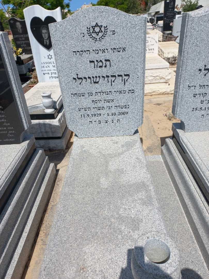 קברו של תמר קרקזישווילי