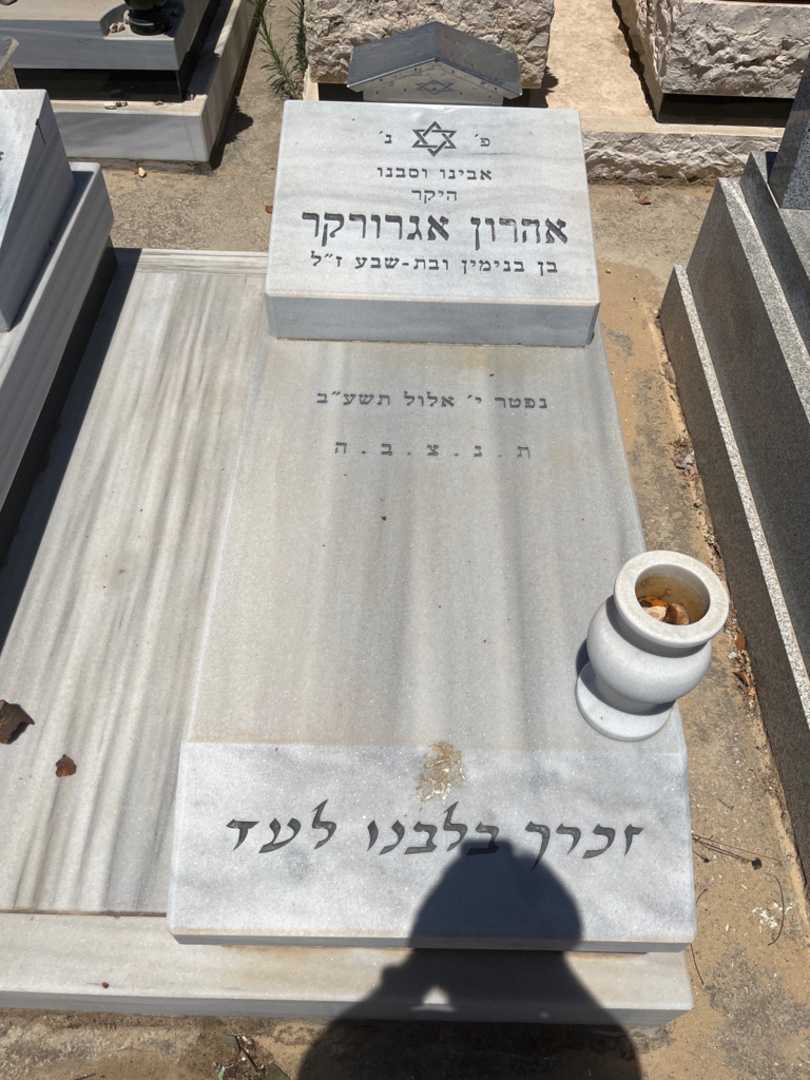 קברו של אהרון אגרורקר. תמונה 1