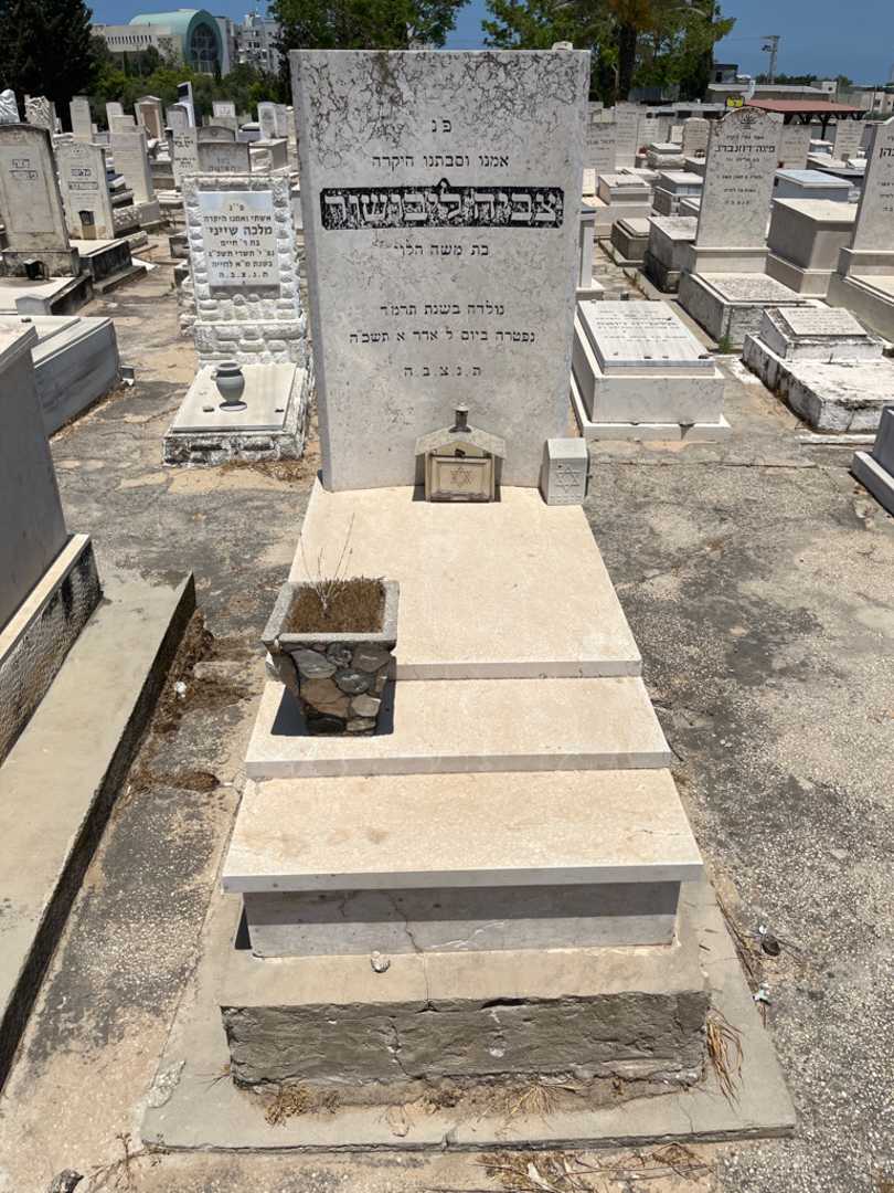 קברו של צביה ליבושור