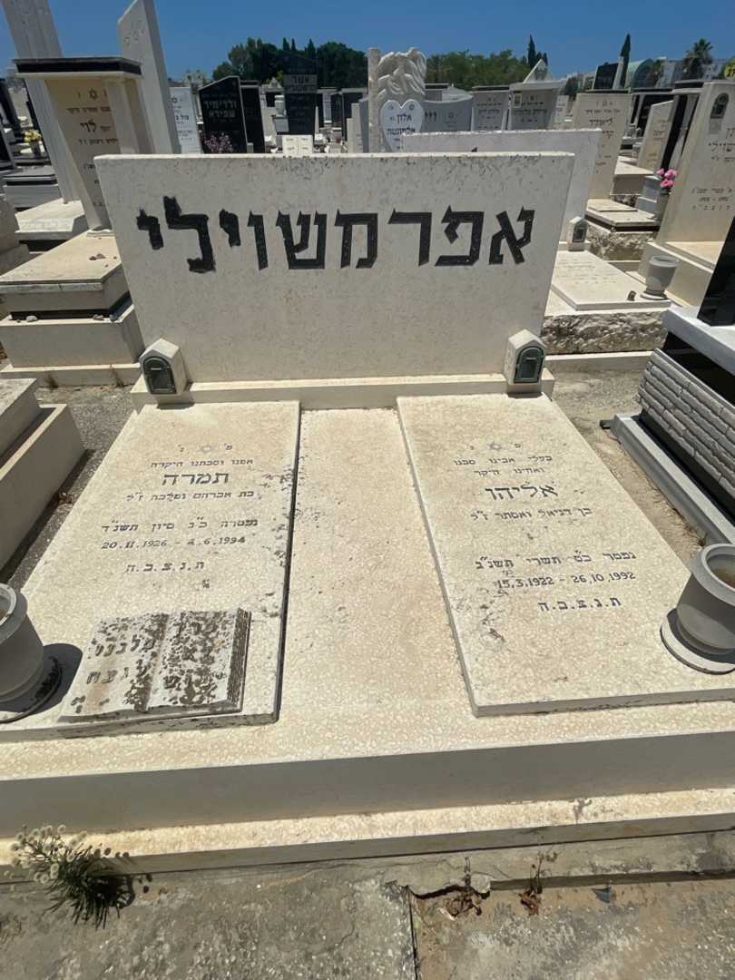 קברו של תמרה אפרמשוילי. תמונה 1