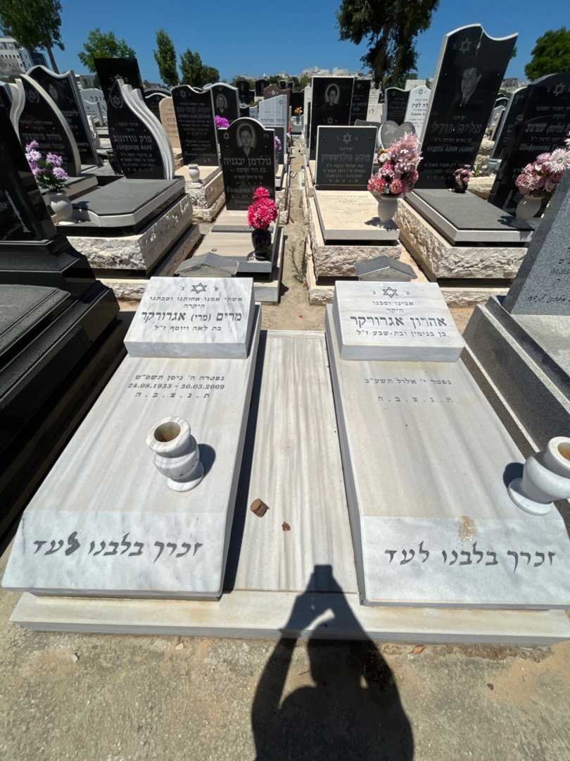 קברו של אהרון אגרורקר. תמונה 2