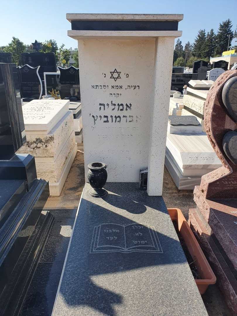קברו של אמליה אברמוביץ. תמונה 2