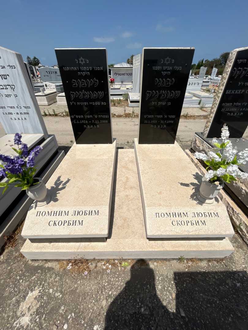 קברו של יבגני שפוצניק. תמונה 2