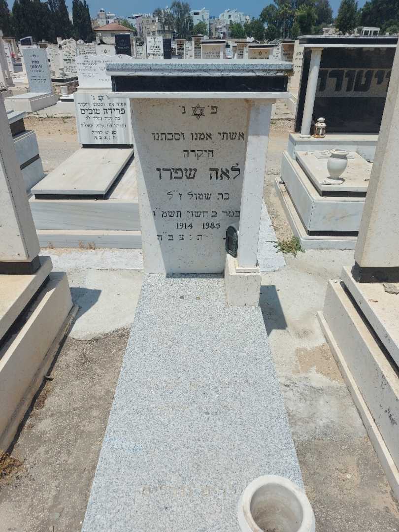 קברו של לאה שפירו. תמונה 1