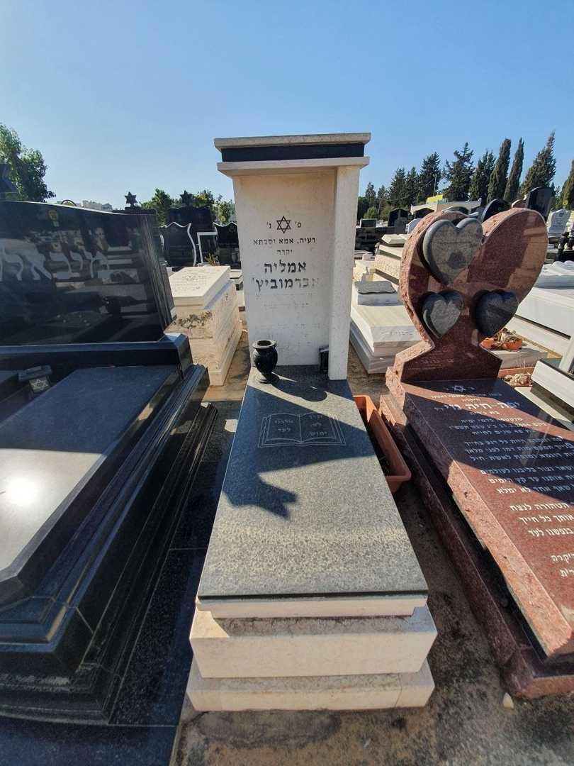 קברו של אמליה אברמוביץ. תמונה 1