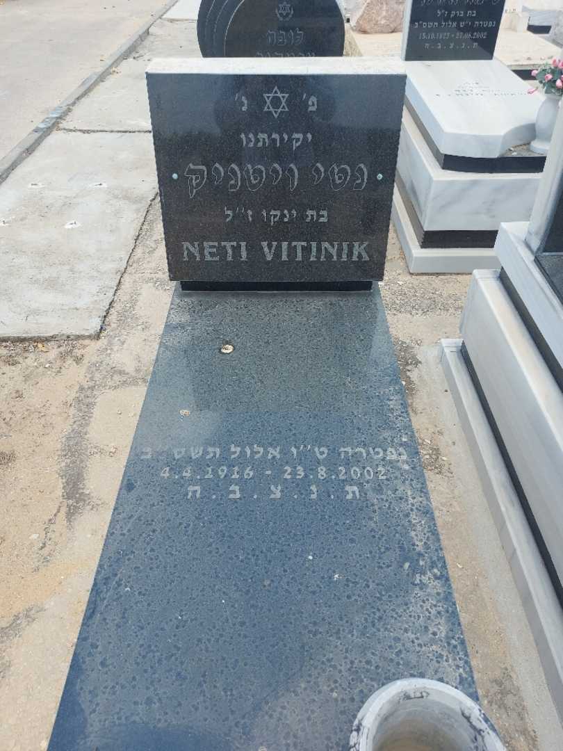 קברו של נטי ויטניק