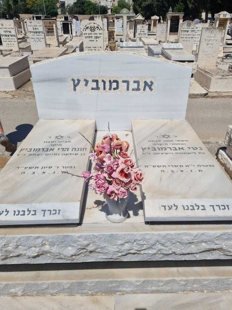 קברו של נטי אברמוביץ. תמונה 1
