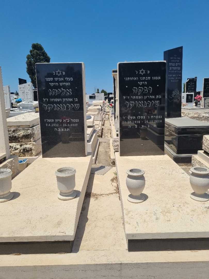 קברו של אליס שירגאוקר. תמונה 1