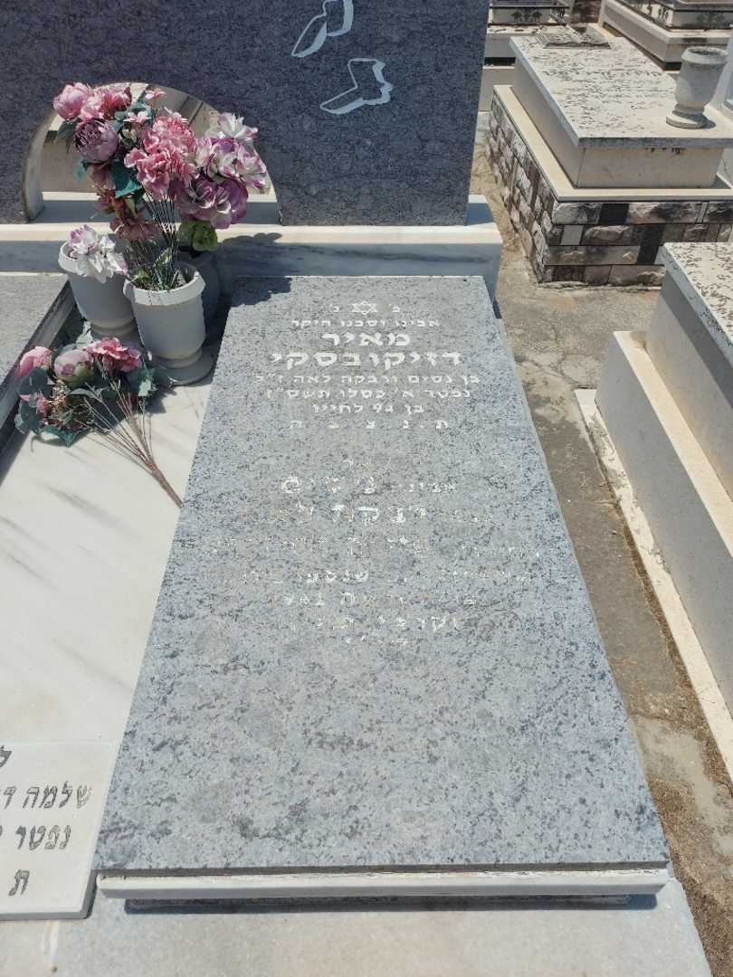 קברו של שלמה דזיקובסקי. תמונה 2