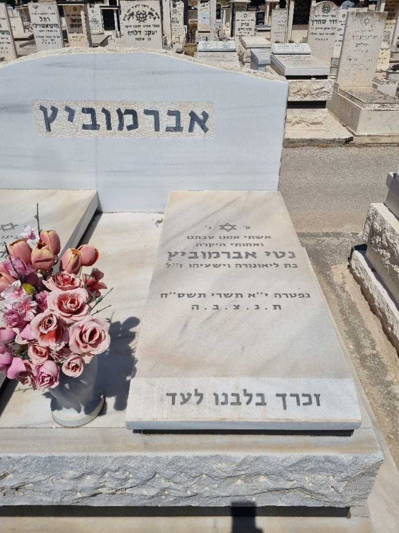 קברו של נטי אברמוביץ. תמונה 2