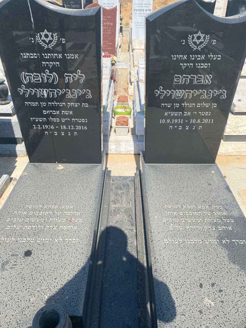 קברו של לובה "לובה" דזינדזיחשווילי. תמונה 1